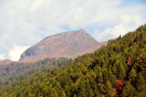 monte-corbernas