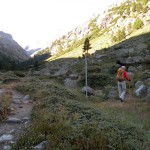 bivio alla partenza