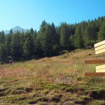 palina-sopra-cheneil