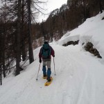 strada-nel-bosco