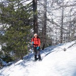 salita-nel-bosco