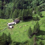 alpeggio-di-underbech