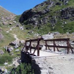 ponticello