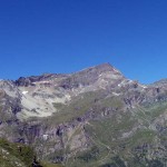 testa-grigia