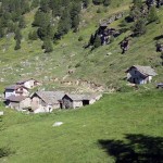 lavassey