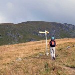 palina fuori dal bosco
