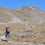 palina quota 2482