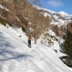 traverso nel bosco