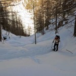 canale nel bosco