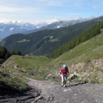 all'uscita del bosco