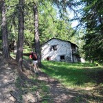 baita nel bosco