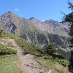 col plan fenetre