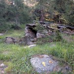 piccola stalla