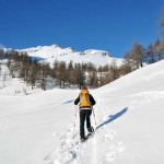 verso il bosco