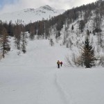 verso il canale nel bosco