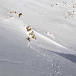 pendio verso il colle