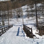 partenza