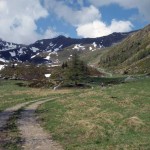 sopra ars