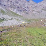 palina quota 2255