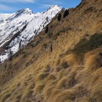 risalendo al colletto sui pendii di erba olina