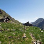 8-arrivando al casotto