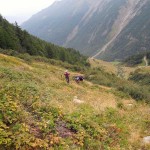 parte alta del canale