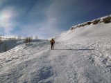 fuori dal bosco