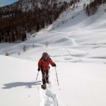 percorso fuori dal bosco