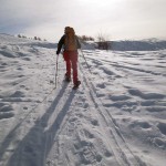 pendii fuori dal bosco