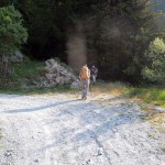 ultimo rientro nel bosco