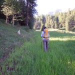 pista di sci oltre champ vert