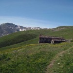 chauplanaz