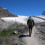 arrivo alla palina