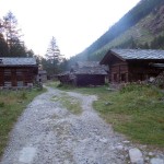 vermiana