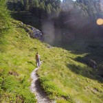uscita dal bosco