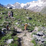 bivio quota 2365