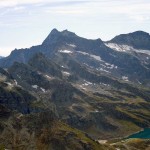 corno bianco