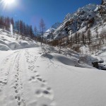 ingresso nel vallone di fenis