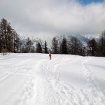 fuori dalla vegetazione