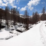 torrente prima del pianoro