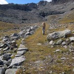 verso il pendio pietroso