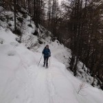 traverso nel bosco