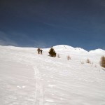 fuori dal bosco