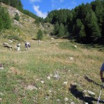 canale erboso sopra chalon