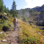 uscendo dalla vegetazione