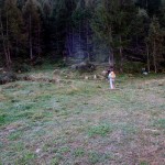 inizio sentiero nel bosco