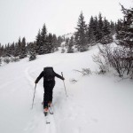 uscendo dal bosco