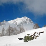 grandes jorasses