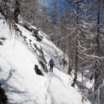 in traverso