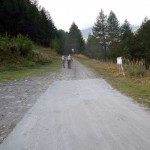 partenza